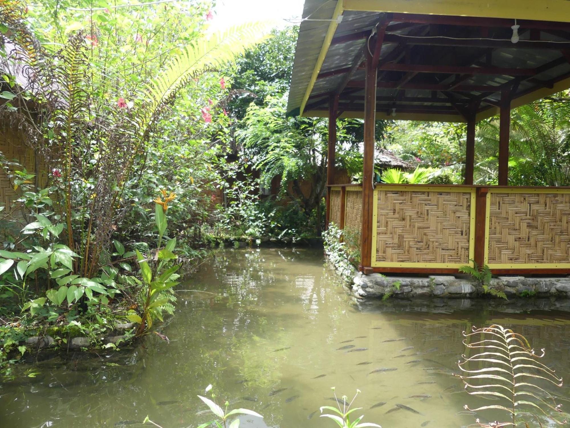 Magpie resto dan homestay Bukit Lawang Chambre photo