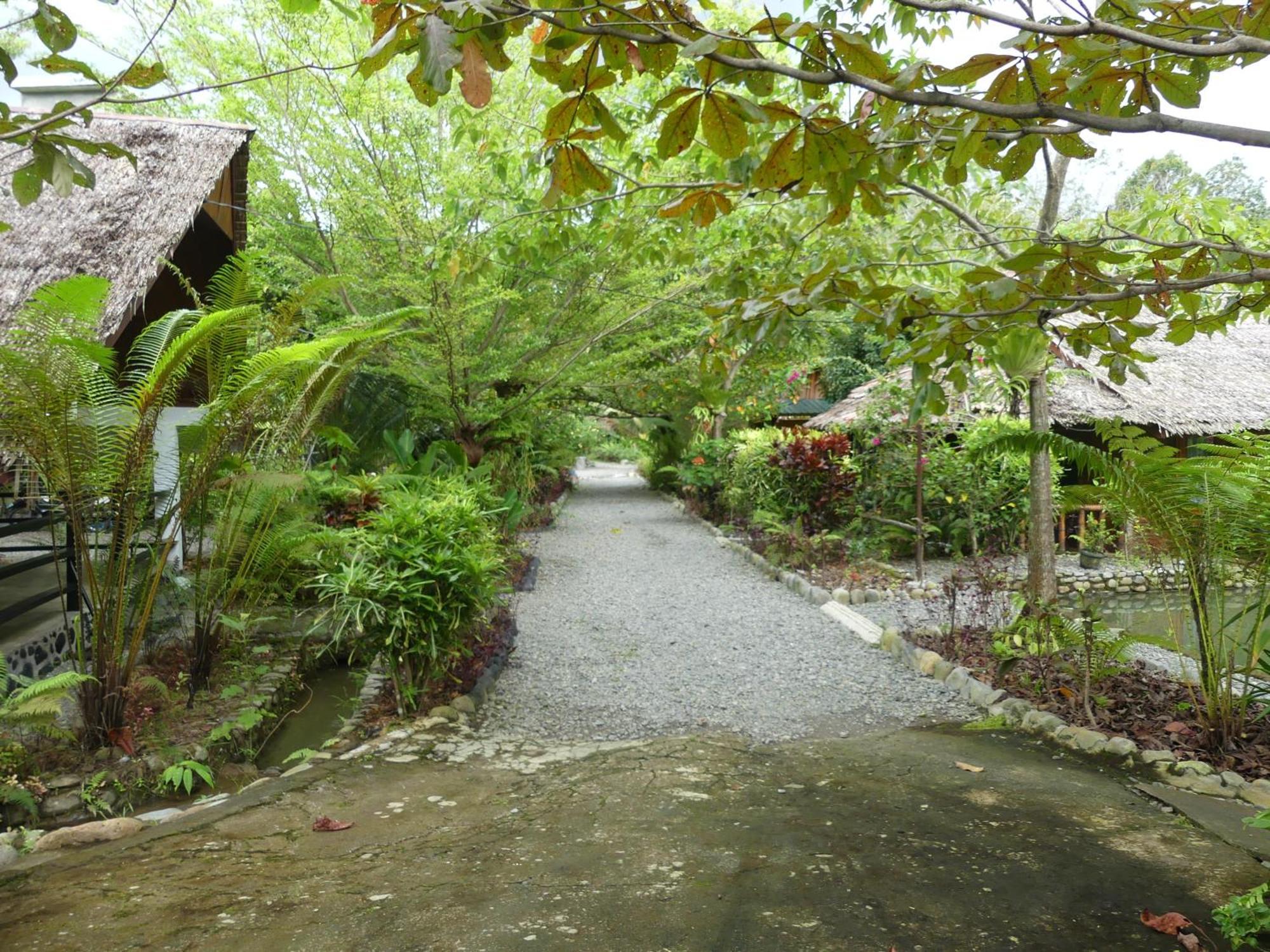 Magpie resto dan homestay Bukit Lawang Extérieur photo