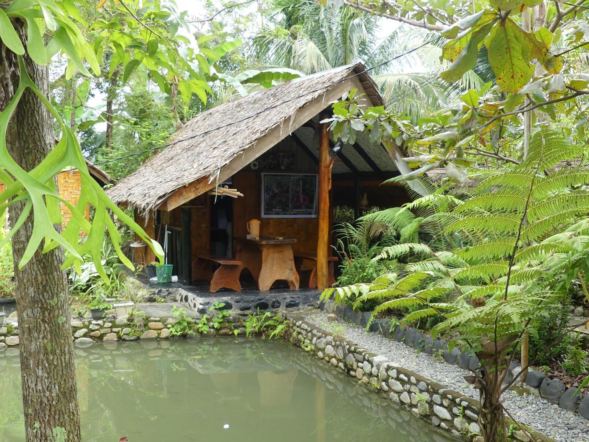 Magpie resto dan homestay Bukit Lawang Extérieur photo
